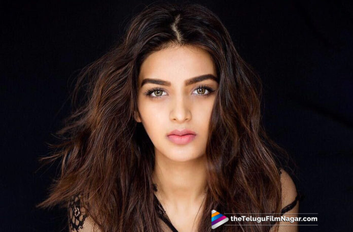 Nidhhi Agerwal Role Revealed In ISmart Shankar,Telugu Filmnagar,Telugu Film Updates,Tollywood Cinema News,2019 Latest Telugu Movie News,Nidhhi Agerwal Role From ISmart Shankar,Actress Nidhhi Agerwal Character in ISmart Shankar Movie,ISmart Shankar Movie Latest updates,Nidhhi Agerwal to Play a Key Role in ISmart Shankar Movie