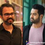 2019 Latest Telugu Movie News, KGF Director To Direct JR NTR, KGF Man All Set To Fulfill His Dream, NTR and Director Prashanth Neel To Work Together, NTR Next Film With Prashanth Neel, NTR Next Project Details, NTR To Work With Epic Director Prashanth Neel?, NTR to Work with KGF Director Prashanth Neel, NTR To Work With Talented Director, telugu film updates, Telugu Filmnagar, Tollywood cinema News
