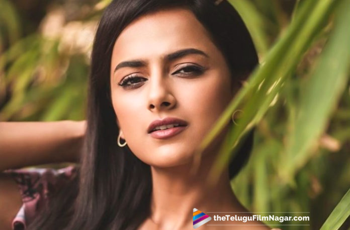 2019 Latest Telugu Film News, Shraddha Srinath Lands Unique Role, Jersey star Shraddha Srinath, Shraddha Srinath to Do Unique Role, Shraddha Srinath Latest Movie News, Shraddha Srinath To Do Interesting Project, Shraddha Srinath Ropped an Unique Role, Shraddha Srinath Different Role In Her Next, Telugu Film Updates, Telugu Filmnagar, Tollywood Cinema News, Unique Role by Shraddha Srinath