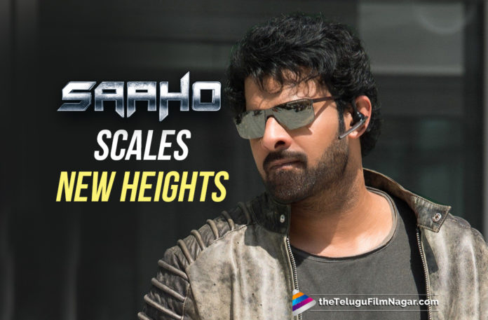2019 Latest Telugu Film News, Bollywood Saaho Collection, Saaho Achieves Another Milestone, Saaho Box Office Day 5 in Hindi, Saaho Collection 100 Crore, Saaho Hindi box office collection, Saaho Joins 100 Crore Club in Bollywood, Saaho Movie Latest News, telugu film updates, Telugu Filmnagar, Tollywood cinema News