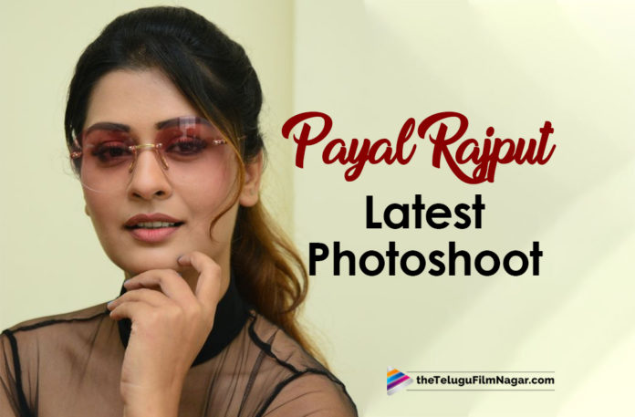 Payal Rajput Latest Photoshoot,2019 Telugu Movies Photos, Latest Tollywood Photo Gallery, Payal Rajput Latest Images, Payal Rajput Latest Photo Gallery, Payal Rajput New Photos, Payal Rajput New Stills, Telugu Filmnagar, Tollywood Celebrities New Images