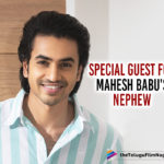 Tollywood Star Chief Guest At Ashok Galla Movie Launch,Ram Charan Graces Debue Movie Launch Event Of Ashok Galla,Latest Telugu Movies News,Telugu Film News 2019, Telugu Filmnagar, Tollywood Cinema Updates,Ashok Galla Movie Launch Guest,Ashok Galla Debue Movie Launch Event,Ashok Galla Debue Movie Launch Chief Guest