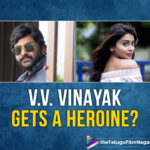 V.V. Vinayak Has Roped In A Big Heroine For His Hero Debut?,Telugu Filmnagar,Latest Telugu Movies News,Telugu Film News 2019,Tollywood Cinema Updates,VV Vinayak Latest News,VV Vinayak Upcoming Movie News,VV Vinayak Next Film Updates,VV Vinayak Latest Movie News,VV Vinayak Next Film Updates