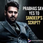 latest telugu movies news, Prabhas Latest Movie Details, Prabhas Next Film With Director Sandeep Reddy Vanga, Prabhas Okays The Script Of Sandeep Reddy?, Prabhas Says Yes To Another Pan Indian Movie, Prabhas Teams Up With Arjun Reddy Movie Director Sandeep Reddy Vanga For A New Movie, Prabhas Upcoming Movie News, Telugu Film News 2019, Telugu Filmnagar, Tollywood Movie Updates