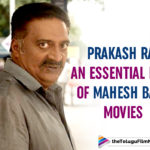 Sarileru Neekevvaru – Prakash Raj An Integral Part Of A Mahesh Babu Film,Telugu Filmnagar,Latest Telugu Movies News,Telugu Film News 2020,Tollywood Movie Updates,Sarileru Neekevvaru Movie Updates,Sarileru Neekevvaru Telugu Movie Latest News,Sarileru Neekevvaru Movie Live Updates