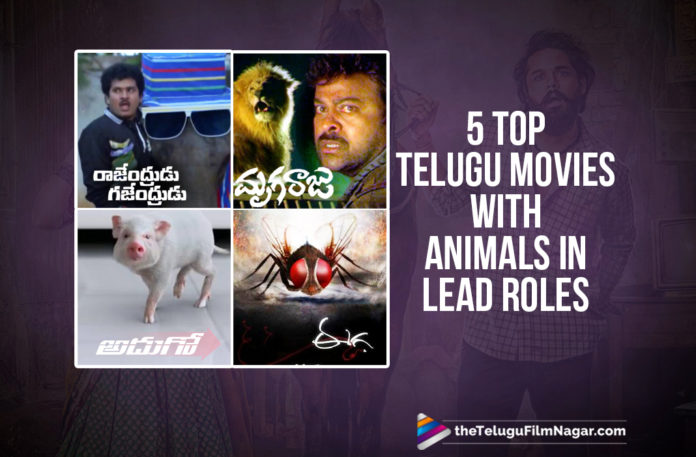 5 Top Recent Telugu Movies With Animals In Lead Roles, Actor Nandu Savaari Movie Latest News, latest telugu movies news, Savaari Movie Live Updates, Savaari Movie Updates, Savaari Telugu Movie Latest News, Telugu Film News 2020, Telugu Filmnagar, Telugu Movies Based On Animals In Lead Roles, Tollywood Films Based On Animals In Lead Roles, Tollywood Movie Updates, Top 5 Recent Telugu Movies With Animals In Lead Roles