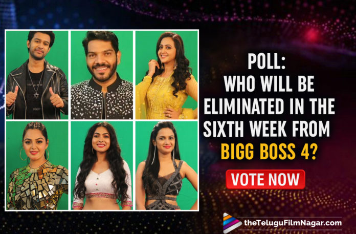 POLL: Who Do You Think Will Be Eliminated In The Sixth Week From Bigg Boss 4? Vote Now