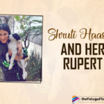 Shruti Haasan Cuddling With A Stray Doggo Rupert Is The Cutest Thing On The Internet
