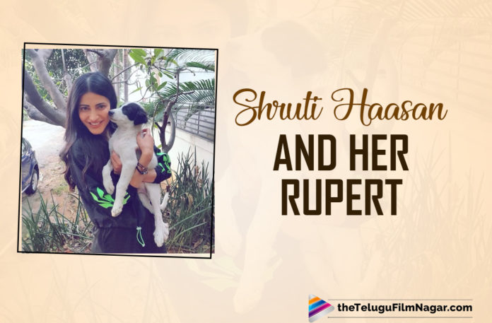 Shruti Haasan Cuddling With A Stray Doggo Rupert Is The Cutest Thing On The Internet
