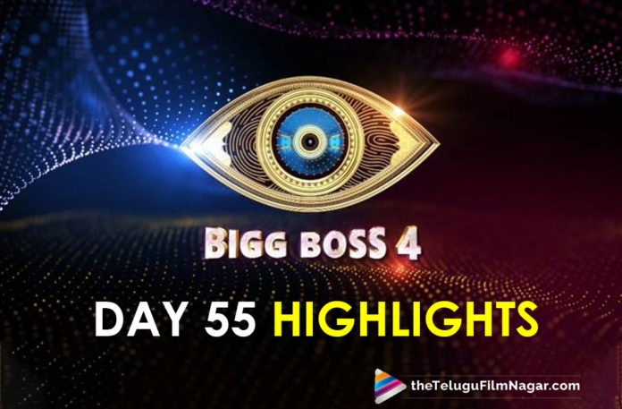 Bigg Boss 4 Telugu; Day 55 Highlights: Noel Is Out Of Race And Fires On Avinash and Amma Rajasekhar