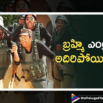 Race gurram Comedy scenes,Allu Arjun,Shruti Haasan,Saloni,Prakash Raj,S Thaman,Brahmanandam,race gurram songs,race gurram full songs,race gurram jukebox,race gurram movie,race gurram video jukebox,Race Gurram video songs,race gurram movie online,race gurram full movie,thaman hits,Race Gurram full movie,Race Gurram full movie online,Race Gurram,Shaam,Nallamalapu Srinivas Bujji,Surender Reddy,Telugu Movies,Telugu Full Movies,2015 telugu full movies