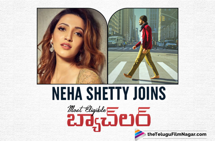 Akhil Akkineni, Akhil Akkineni And Pooja Hegde Upcoming Movie Most Eligible Bachelor, Akhil Akkineni latest movie, Akhil Akkineni Upcoming Movie Most Eligible Bachelor, Most Eligible Bachelor, Most Eligible Bachelor Movie, Most Eligible Bachelor Movie News, Most Eligible Bachelor Movie Updates, Most Eligible Bachelor Telugu Movie, Neha Shetty Joins Most Eligible Bachelor, Neha Shetty Joins The Cast Of This Akhil Akkineni Starrer, Pooja Hegde, Telugu Filmnagar, Tollywood Movie Updates, tollywood movies 2020
