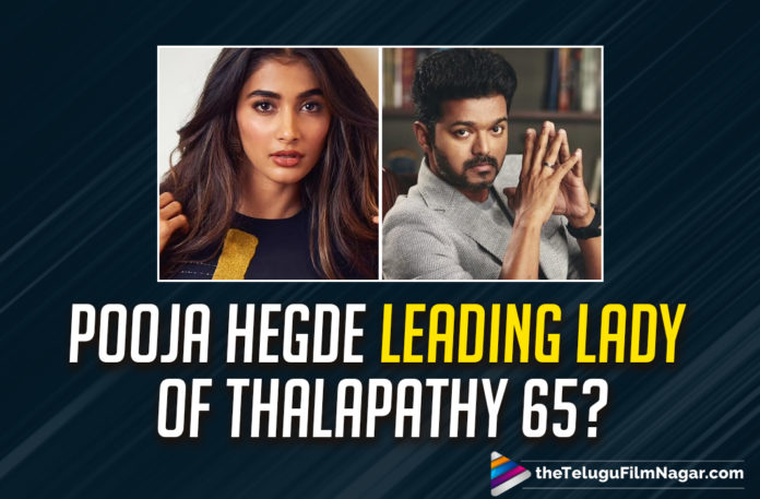 #Thalapathy65, Actor Thalapathy Vijay, Actor Vijay Sethupathi, Anirudh Ravichander, Hero Thalapathy Vijay, Hero Vijay Sethupathi, latest telugu movies news, Latest Tollywood News, master, Master Film, Master Movie, Master Movie News, Pooja Hegde To Return To Tamil Industry, Telugu Film News 2020, Telugu Filmnagar, thalapathy vijay, Tollywood Movie Updates, Vijay Sethupathi