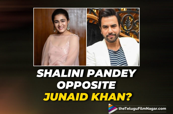 Aamir Khan Son Junaid Khan, Aamir Khan Son Junaid Khan In YRF Next, Actress Shalini Pandey New Movie News, Heroine Shalini Pandey Upcoming Movie News, Latest Telugu Movie News, Shalini Pandey, Shalini Pandey Bollywood Movie, Shalini Pandey In YRF Next, Shalini Pandey Latest News, Shalini Pandey Next Project Details, Shalini Pandey To Star Opposite Aamir Khan Son, Telugu Filmnagar, Tollywood Cinema Updates