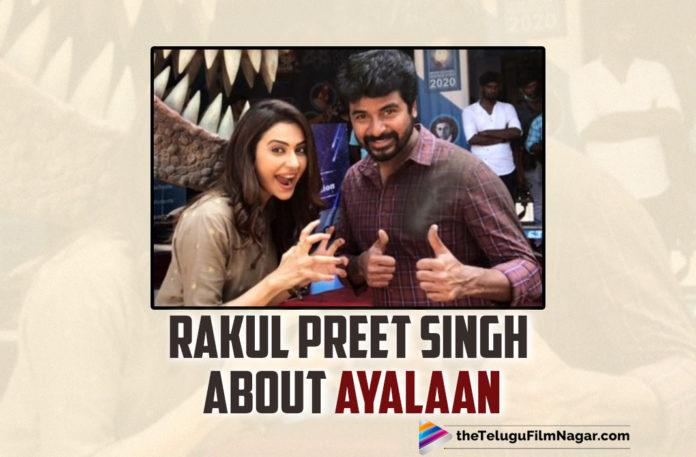 Rakul Preet Singh Wraps Up Ayalaan Shoot And Reveals Her Bond With Sivakarthikeyan,Ayalaan,Ayalaan Shoot,Telugu Filmnagar,Latest Telugu Movies News,Telugu Film News 2021,Tollywood Movie Updates,Latest Tollywood News,Rakul Preet Singh,Actress Rakul Preet Singh,Heroine Rakul Preet Singh,Rakul Preet,SivaKarthikeyan,Rakul Preet Singh About Sivakarthikeyan,Rakul Preet Singh On SivaKarthikeyan,Rakul Shares Her Bond With Sivakarthikeyan,Actor Sivakarthikeyan,Rakul Preet Singh SivaKarthikeyan Movie,Rakul Preet About Ayalaan,Rakul Preet Singh Wraps Up Ayalaan Shoot