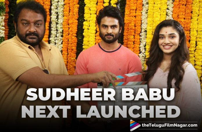 Sudheer Babu And Director Mohan Krishna Indraganti’s Film Officially Launched Today,Telugu Filmnagar,Latest Telugu Movies News,Telugu Film News 2020,Tollywood Movie Updates,Latest Tollywood News,Benchmark Studios,Venky Kudumula,sudheer babu,Krithi Shetty,Mohana Krishna Indraganti,Benchmark Studios New Movie Launch,Actor Sudheer Babu,Hero Sudheer Babu,Director Mohan Krishna Indraganti,Sudheer Babu And Mohan Krishna Indraganti Film Launch,Hero Sudheer Babu Next Launched,Hero Sudheer Babu Upcoming Movie Launch,Sudheer Babu New Movie Details On Cards