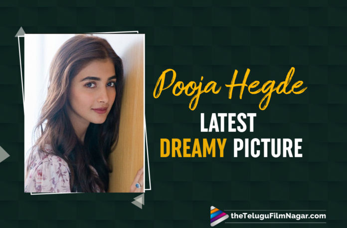 Pooja Hegde Looks Resplendent In This Latest Picture,Telugu Filmnagar,Telugu Film News 2021,Tollywood Movie Updates,Latest Tollywood News,Pooja Hegde,Actress Pooja Hegde,Heroine Pooja Hegde,Pooja Hegde Latest News,Pooja Hegde Latest Film Updates,Pooja Hegde New Movie News,Pooja Hegde Picture,Pooja Hegde Latest Picture,Pooja Hegde Latest Photo,Pooja Hegde New Photo,Pooja Hegde Latest Photo,Pooja Hegde Looks,Pooja Hegde Latest Dreamy Picture,Actress Pooja Hegde Shared A Beautiful Picture On Instagram,Pooja Hegde Latest Instagram Picture,Pooja Hegde Latest Photo Gallery,Pooja Hegde Latest Images,Pooja Hegde Upcoming Movie Details On Cards,Pooja Hegde Latest Movie Details On Cards,Pooja Hegde Beautiful Picture,Pooja Hegde Latest Photo On Instagram