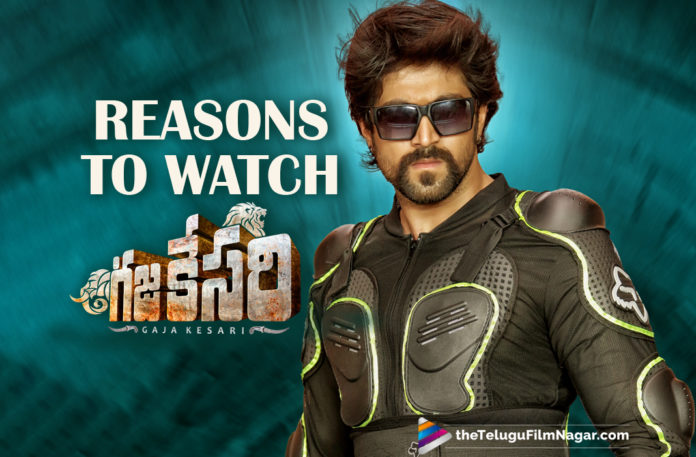 Reasons To Watch Yash Starrer Gajakesari,Gajakesari,Gajakesari Movie,Gajakesari Telugu Movie,Gajakesari Telugu Movie Trailer,Yash Gajakesari Official Trailer,Gajakesari Movie Updates,Gajakesari Telugu Movie Latest News,Telugu Filmnagar,Telugu Film News 2021,Tollywood Movie Updates,Reasons To Watch Gajakesari Telugu Movie,Gajakesari Fim,Gajakesari Movie Telugu,Reasons To Watch Gajakesari,Reasons To Watch Gajakesari Movie,Reasons To Watch Gajakesari Movie Telugu,Reason To Watch Gajakesari,Gajakesari Telugu Movie Songs,Gajakesari Movie Release Date,Reasons Why Gajakesari Is A Must Watch,Yash,Rocking Star Yash,Yash Gajakesari,S Krishna,Gajakesari Plot,V Harikrishna,Reasons To Watch Yash Gajakesari,Reasons Why Yash Starrer Gajakesari Is A Must Watch,Gajakesari On March 5th,Gajakesari Update,Gajakesari Movie Latest News