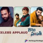 Varun Tej And Navdeep Heap Praises On Gaali Sampath,Telugu Filmnagar,Latest Telugu Movies News,Telugu Film News 2021,Tollywood Movie Updates,Latest Tollywood News,Varun Tej,Actor Varun Tej,Hero Varun Tej,Navdeep,Actor Navdeep,Hero Navdeep,Gaali Sampath,Gaali Sampath Movie,Gaali Sampath Film,Gaali Sampath Telugu Movie,Gaali Sampath Movie Telugu,Gaali Sampath Update,Gaali Sampath Movie News,Gaali Sampath Movie Latest Updates,Rajendra Prasad,Sree Vishnu,Actor Sree Vishnu,Actor Rajendra Prasad,Varun Tej And Navdeep Praises On Gaali Sampath,Varun Tej And Navdeep Praises On Gaali Sampath Movie,Celebs Applaud Gaali Sampath,Celebs Applaud Sree Vishnu Gaali Sampath,Varun Tej And Navdeep Praises On Sree Vishnu Gaali Sampath,Anish Krishna,Varun Tej And Navdeep Congratulates Gaali Sampath Team