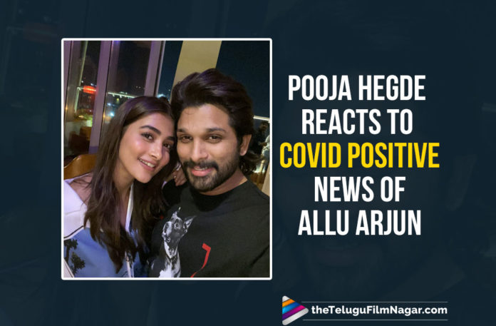 Pooja Hegde Reacts To The Covid Positive News Of Allu Arjun,Telugu Filmnagar,Telugu Film News 2021,Tollywood Movie Updates,Allu Arjun Tests Positive For COVID-19,Celebs Wishes Allu Arjun Speedy Recovery,Pooja Hegde Wish Allu Arjun A Speedy Recovery,Allu Arjun Tests Covid Positive,Pooja Hegde Wishes Allu Arjun Speedy Recovery,Heroine Pooja Hegde Wish Allu Arjun A Speedy Recovery,Allu Arjun In Home Quarantine,Pooja Hegde Wishes Allu Arjun Speedy Recovery From Coronavirus,Pooja Hegde On Twitter,Pooja Hegde Fun Note On Twitter,Pooja Hegde About Allu Arjun,Pooja Hegde Latest News,Pooja Hegde Latest Film Update,Pooja Hegde To Allu Arjun,Bantu,Amulya,Pooja Hegde Ala Vaikunthapurramuloo,Pooja Hegde Speedy Recovery Wish For Allu Arjun,Pooja Hegde Tweet,Pooja Hegde Reacts To Allu Arjun Covid Positive News,Pooja Hegde Wished Allu Arjun Good Health,Actress Pooja Hegde,Heroine Pooja Hegde,Pooja Hegde Movie,Pooja HegdeNew Movie,Pooja Hegde Latest Movie,Pooja Hegde Upcoming Movie