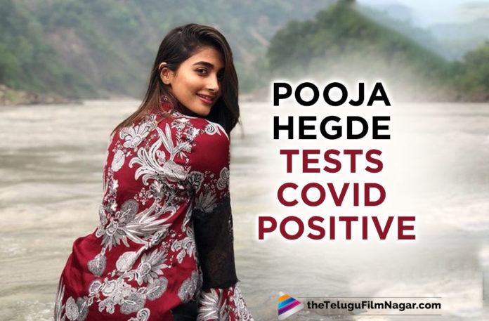 Pooja Hegde Tests Positive For Covid 19,Telugu Filmnagar,Latest Telugu Movies News,Telugu Film News 2021,Tollywood Movie Updates,Latest Tollywood News,Pooja Hegde,Actress Pooja Hegde,Heroine Pooja Hegde,Pooja Hegde Latest News,Pooja Hegde Movies,Pooja Hegde News,Pooja Hegde Latest Film Updates,Pooja Hegde Tests Positive,Pooja Hegde Tests COVID-19 Positive,Pooja Hegde Tests Coronavirus Positive,Pooja Hegde Tests Positive For COVID-19,Pooja Hegde Tests Positive For Coronavirus,Actress Pooja Hegde Tests Positive For COVID-19,Actress Pooja Hegde Tests Positive For Coronavirus,Heroine Pooja Hegde Tests Positive For Covid-19,Pooja Hegde Tests Positive For Covid-19,Pooja Hegde Tests Covid Positive,Pooja Hegde Tests Covid-19 Positive,Pooja Hegde Covid News