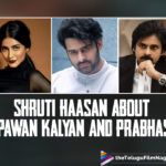 Shruti Haasan About Pawan Kalyan And Prabhas,Telugu Filmnagar,Latest Telugu Movies News,Telugu Film News 2021,Tollywood Movie Updates,Latest Tollywood News,Shruti Haasan,Actress Shruti Haasan,Heroine Shruti Haasan,Shruti Haasan Movies,Shruti Haasan Latest News,Shruti Haasan Latest Film Updates,Shruti Haasan New Movie,Shruti Haasan Latest Movie,Shruti Haasan Upcoming Movie,Shruti Haasan Next Movie,Actress Shruti Haasan About Pawan Kalyan And Prabhas,Shruti Haasan About Pawan Kalyan,Shruti Haasan About Prabhas,Pawan Kalyan,Power Star Pawan Kalyan,Prabhas,Rebel Star Prabhas,Shruti Haasan About Working With Pawan Kalyan In Vakeel Saab,Shruti Haasan About Working With Prabhas In Salaar,Vakeel Saab,Salaar,Shruti Haasan Exclusive Interview,Shruti Haasan Interview,Shruti Haasan Latest Interview,Shruti Haasan On Pawan Kalyan And Prabhas