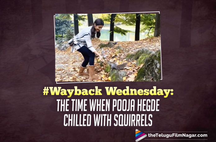#WaybackWednesday: The Time When Actress Pooja Hegde Chilled With Squirrels,#WaybackWednesday,Wayback Wednesday,TFN Wayback Wednesday,When Actress Pooja Hegde Chilled With Squirrels,Pooja Hegde Chilled With Squirrels,Actress Pooja Hegde,Pooja Hegde,Heroine Pooja Hegde,Pooja Hegde movies,Pooja Hegde New movie,Pooja Hegde Latest Movie,Pooja Hegde Upcoming Movie,Pooja Hegde Next Movies,Pooja Hegde Upcoming Movies,Pooja Hegde Playing With Squirrel,Pooja Hegde Cute Video,Pooja Hegde Playing With Squirrel,When Pooja Hegde Fed A Squirrel,Pooja Hegde With Squirrel,Video Of Pooja Hegde,Pooja Hegde Squirrel Video,Cute Video Of Pooja Hegde,Pooja Hegde Videos,Pooja Hegde Funny Videos,Pooja Hegde Feeding Nuts To A Squirrel,Pooja Hegde Radhe Shyam,Radhe Shyam,Most Eligible Bachelor,#PoojaHegde
