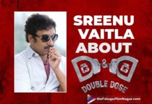 Sreenu Vaitla About Vishnu Manchu D&D Double Dose Movie