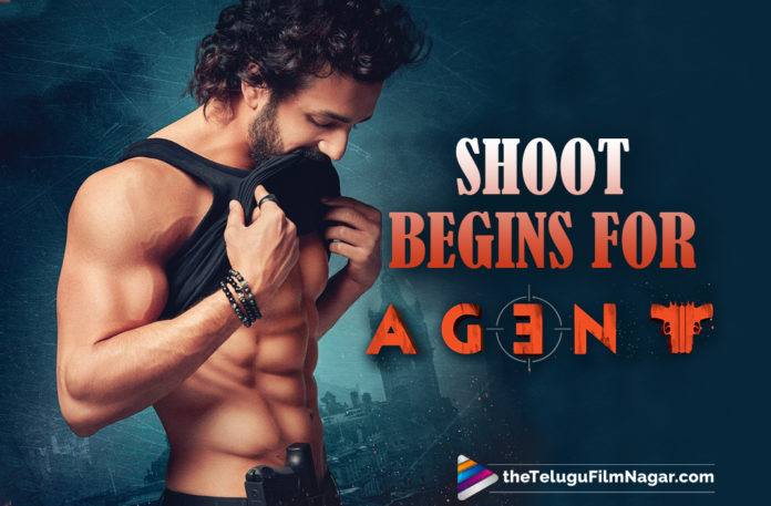 Shooting Begins For The Akhil Akkineni Starrer Agent Movie,Agent Shooting Begins,Agent Movie Shooting Begins,Shooting Of Akhil Akkineni Film Agent Begins,Agent Shoot Begins,Agent Movie Shoot Begins,Akhil's AGENT Shoot Begins,AGENT New Poster Released,Agent New Poster,Agent Movie New Poster,Akhil New Poster From Agent,AGENT Shoot Begins,Akhil Akkineni's AGENT Shoot Begins,Akhil New Movie Agent,Akhil New Movie Agent Poster,Akhil Agent Movie Poster,Agent,Akhil Akkineni,Akhil Akkineni Latest Movies,Surender Reddy,Telugu Filmnagar,Latest Telugu Movies 2021,AGENT,Agent Movie,Agent Film,Agent Telugu Movie,Agent Movie Update,Agent Movie News,Akhil Agent,Agent Akhil,Akhil New Movie,Akhil Latest Movie,Agent Look,Akhil,Akhil Akkineni Agent,Surender Reddy Latest Movie,Agent Movie Akhil,Agent Movie Latest Upates,Agent Movie Latest News,Agent Movie Shooting,Agent Movie Shooting Updates,Agent Movie Shoot,Agent Movie Latest,Agent Movie Shoot,Agent Shooting Work Begins,Akhil Agent Shooting Work Begins,Akhil Agent Shooting Begins,Akhil New Movie Shoot,Akhil Agent Poster,Agent Shooting,Shoot Begins For Agent,Akhil Akkineni Agent Shoot Begins,Agent Shoot Begins Post Lockdown,Akhil New Movie Update,Akhil Latest Movie Update,Agent Telugu Movie Updates,#AGENT