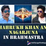 Shahrukh Khan And Nagarjuna In Brahmastra: Karan Johar Shares Details,Brahmastra Motion Poster Launch,Brahmastra Movie Motion Poster Launch,Brahmastra Telugu Motion Poster Launch,Brahmastra,Brahmastra Movie,Brahmastra Telugu Movie,Brahmastra Motion Poster,Brahmastra Official Motion Poster,Amitabh Bachchan,Nagarjuna,Ranbir Kapoor,Alia Bhatt,Ayan Mukerji,Brahmastra Movie Motion Poster,Brahmastra Part One: Shiva,Brahmastra Part One,Ranbir Kapoor Brahmastra,Brahmāstra Part One : Shiva,Brahmastra Release Date,Brahmastra Telugu Movie Motion Poster,Karan Johar,Pritam,Brahmastra Part One: Shiva 2022,Brahmastra 2022,Latest Telugu Movie 2021,Telugu Filmnagar,Brahmastra Movie Updates,SS Rajamouli,Brahmastra Telugu Motion Poster,Shiva,Ranbir Kapoor As Shiva,Ranbir Kapoor Movies,Mouni Roy,SS Rajamouli Turns Into Host,Alia Bhatt Movies,Shahrukh Khan,Shahrukh Khan Movies,Shahrukh Khan New Movie,Shahrukh Khan In Brahmastra,Shahrukh Khan In Brahmastra Movie,Akkineni Nagarjuna,Nagarjuna Movies,Nagarjuna New Movie,Nagarjuna In Brahmastra,Nagarjuna In Brahmastra Movie,Shahrukh Khan And Nagarjuna In Brahmastra,Shahrukh Khan And Nagarjuna In Brahmastra Movie,Karan Johar,Karan Johar Movies,Karan Johar Gives Details About Shah Rukh Khan’s Cameo In Brahmastra,Karan Johar Opens Up On Srk And Nagarjuna’s Brahmastra Cameos,Shahrukh Khan And Nagarjuna Cameo In Brahmastra,Shahrukh Khan And Nagarjuna Role In Brahmastra,SRK,#BrahmastraMotionPoster,#Brahmastra,#Nagarjuna,#ShahrukhKhan,#KaranJohar