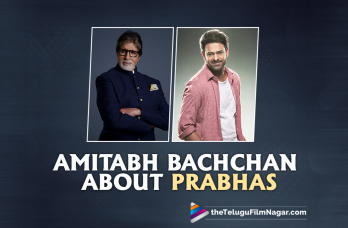 Amitabh Bachchan Tweets About Working With Prabhas,Amitabh Bachchan Is All Praises For Prabhas,Amitabh Bachchan About Working With Prabhas,Amitabh Bachchan About Prabhas,Amitabh Bachchan About Rebel Star Prabhas,Amitabh Bachchan Comments On Prabhas,Amitabh Bachchan Praises Prabhas,Amitabh Bachchan Is All Praises For Co Star Prabhas,Amitabh Bachchan Says Its An Honour To Work With Prabhas For Project K,Amitabh Bachchan About His Experience Of Working With Prabhas,Project K New Schedule Begins,Amitabh Bachchan About Bahubali Prabhas,Bahubali Prabhas,Prabhas Completes First Shot Of Project K With Amitabh Bachchan,First Shot Of Project K,Prabhas Latest Movie Update,Prabhas Upcoming Movies,Project K Latest Shooting Update,Prabhas Project K Latest Shooting Update,Project K Movie Latest Updates,Project K,Prabhas Project K Update,Prabhas Project K,Prabhas Project K Movie,Project K Movie,Prabhas,Nag Ashwin,Deepika Padukone,Amitabh Bachchan,Vyjayanthi Movies,Prabhas Latest Movie,Latest Telugu Movies 2022,Rebel Star Prabhas,Prabhas Movies,Prabhas New Movie,Amitabh Bachchan Movies,Telugu Filmnagar,Prabhas Latest News,Project K Updates,Project K Movie Updates,Prabhas New Movie Update,Prabhas Project K Movie Shooting Update,Project K Movie Shooting Update,Prabhas Project K Movie Latest Shooting Update,Project K Movie Latest Shooting Update,Project K Movie Shooting Latest Update,Amitabh Bachchan New Movie,Amitabh Bachchan Tweet,#ProjectK,#Prabhas,#AmitabhBachchan,#DeepikaPadukone
