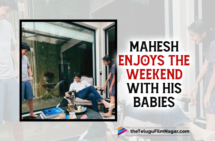 Mahesh Gets Surrounded By His Babies For The Weekend,Mahesh Babu Surrounded By His Babies For The Weekend,Mahesh Babu Enjoys Weekend With His Babies,Telugu Filmnagar,Latest Telugu Movies News,Telugu Film News 2022,Tollywood Movie Updates,Latest Tollywood Updates,Superstar Mahesh Babu,Mahesh Babu,Mahesh Babu Movies,Mahesh Babu New Movie,Mahesh Babu Latest News,Mahesh Babu News,Sarkaru Vaari Paata,Mahesh Babu Family,Sitara Ghattamaneni,Gautam Ghattamaneni,Namrata Shirodkar,Mahesh Babu New Video,Mahesh Babu Latest Video,Mahesh Babu Latest Video With Daughter Sitara,Video Of Mahesh Babu With Daughter Sitara,Mahesh Babu Video With Daughter Sitara,Mahesh Babu Daughter Sitara Video,Mahesh Babu Daughter Sitara Latest Video,Sitara Ghattamaneni Videos,Sitara Ghattamaneni New Video,Sitara Ghattamaneni Video,Sitara Videos,Mahesh Babu And Daughter Sitara,Mahesh Babu And Daughter Sitara Video,Mahesh Babu And Daughter Sitara New Video,Mahesh Babu And Daughter Sitara Latest Video,Latest Video of Mahesh Babu,Mahesh Babu Latest Pic,Mahesh Babu Latest,Mahesh Babu's Candid Moments With His Kids,Mahesh Babu Candid Moments With His Kids,Surrounded By All His Babies,Mahesh Babu Latest Photo,Mahesh Babu Latest Picture,Mahesh Babu Latest Photo With His Babies,Mahesh Babu Latest Pic With His Babies,Gautham,Mahesh Babu Babies,Mahesh Babu Pet,Mahesh Babu Dog,#MaheshBabu,#SitaraGhattamaneni