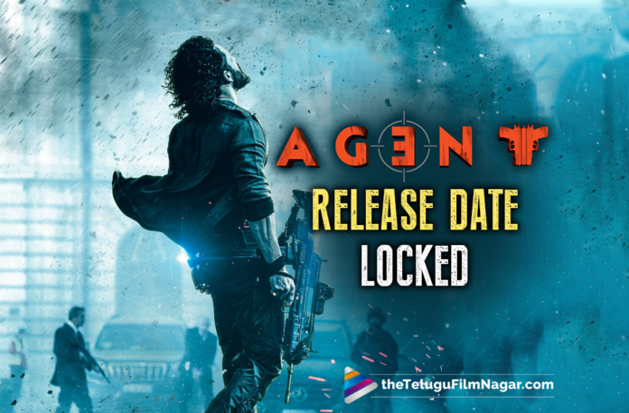 Akhil Akkineni, Mammootty’s Spy Thriller Agent Release Date Locked,Telugu Filmnagar,Latest Telugu Movies 2022,Telugu Film News 2022,Tollywood Movie Updates,Latest Tollywood Updates, Akhil Akkineni,Akhil Akkineni Movie,Akhil Akkineni Agent Movie,Akhil Akkineni Agent Movie on August 12th,Agent Movie on 12th August,Agent Telugu Movie on 12th August, Agent Movie Fixed Release Date on 12th August,Akhil Akkinenis New Movie Agent,Akhil Akkinenis Agent Movie latest Updates,Mammootty with Akhil Akkineni Movie Agent,Legendary Actor Mammotty in Agent Movie, Agent Movie Updates,Agent Latest News,Sakshi Vaidya Actress,Actress Sakshi Vaidya with Akhil Akkineni movie Agent,Thaman s Music Director Movie,Thaman S Music for Agent Movie, Agent Movie shoot Updates,Akhil Akkineni Agent Movie Shoot Updates,Surender Reddy Movie Director,Surender Reddy Movie with Akhil Akkineni,#Agent