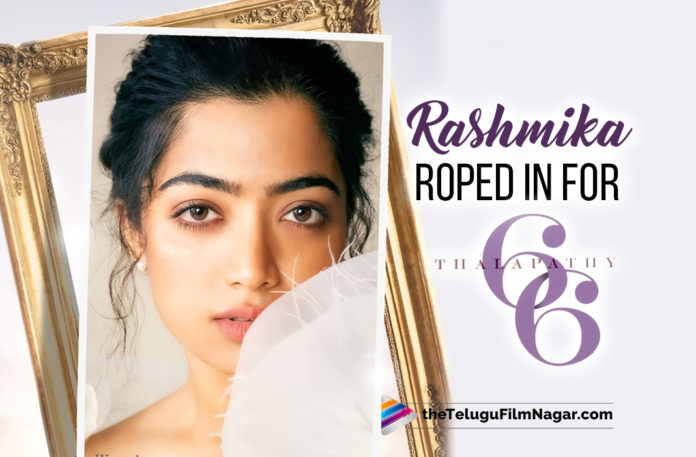 Happy Birthday Rashmika: The Pushpa Actress Roped In For Vijay Starrer Thalapathy 66,Telugu Filmnagar,Latest Telugu Movies News,Telugu Film News 2022,Tollywood Movie Updates,Tollywood Latest News, Happy Birthday Rashmika,HBD Rashmika,Rashmika Birthday,Actress Rashmika Birthday,Rashmika Upcoming Movies,Rashmika Roped in for Vijay New Movie,Actress Rashmika Roped In For Vijay Starrer Thalapathy 66, Pushpa Actress Rashmika Roped in For Vijay new Movie Thalapathy 66,Thalapathy 66,Vijay Upcoming Movies,Vijay New Movie Thalapathy 66,Vijay Latst Movie Updates,Rashmika with Vijay upcoming Movie Updates
