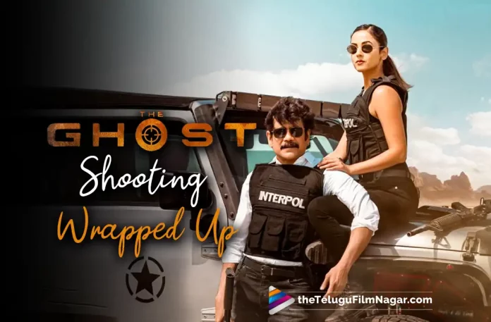 The Ghost Movie Production Update: Nagarjuna’s Upcoming Action Movie Wraps Up Shooting,Telugu Filmnagar,Latest Telugu Movies News,Telugu Film News 2022,Tollywood Movie Updates,Tollywood Latest News, The Ghost,The Ghost Movie,The Ghost Telugu Movie,The Ghost Movie Updates,The Ghost Shooting Updates,Akkineni Nagarjuna,king nagarjuna,Nagarjuna The Gohst Movie Wraps up Shooting, The Ghost Movie Wraps up Shooting,Nagarjuna Upcoming Movie The Ghost Wraps Up Shooting,The Ghost ovie Shooting Final Update,Nagarjuna Upcoming Movies,Nagarjuna New Movie Updates, Nagarjuna latest Movie Updates,Nagarjuna Action Movie The Ghost Wraps Up Shooting,The Ghost Nagarjuna latest Movie Wraps Up Shooting