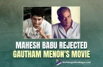 Mahesh Babu Rejected Gautham Menon’s Movie – Here’s The Story, Shocking Facts about Mahesh Babu, Super Star Mahesh Babu, Gautham Memon, Gautham Menon About Superstar Mahesh Babu, Mahesh Babu, Naga Chaitanya's Ye Maya Chesave, Ye Maya Chesave, Gautham Menon, Gautham Vasudev Menon, Director Gautham Vasudev Menon, Naga Chaitanya And Samantha Starrer Ye Maya Chesave, Ye Maya Chesave Latest Update, Ye Maya Chesave New Update, Samantha's Ye Maya Chesave, Gautham Menon Upcoming Movies, Naga Chaitanya Latest Movies, Naga Chaitanya And Samantha, Telugu Film News 2022, Telugu Filmnagar, Tollywood Latest, Tollywood Movie Updates, Tollywood Upcoming Movies