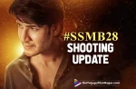 SSMB28 Update: Action Packed First Schedule Completed By Mahesh Babu, Action Packed First Schedule Completed By Mahesh Babu, SSMB28 Movie, #SSMB28, SSMB28 First Schedule Completed, SSMB28 Update, SSMB28 Telugu Movie, SSMB28 latest update, SSMB28 shooting update, Mahesh Babu And Trivikram Srinivas's Film, Trivikram Srinivas's Film SSMB28, Mahesh Babu And Trivikram Srinivas's Film SSMB28, Mahesh Babu's Movie SSMB28, SSMB28 New Update, SSMB28 Movie, SSMB28 Telugu Movie Latest Update, SSMB28 Latest News And Updates, AnbAriv, Telugu Filmnagar, Telugu Film News 2022, Tollywood Latest, Tollywood Movie Updates, Latest Telugu Movies News