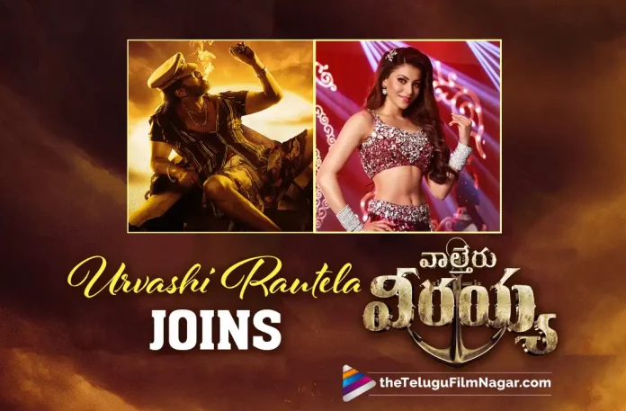 Waltair Veerayya Songs Update: Urvashi Rautela Joins Mega154 For A Special Song, Urvashi Rautela Joins Mega154 For A Special Song, Waltair Veerayya Songs Update, Mega154 Special Song, Urvashi Rautela, Mega Star Chiranjeevi, Mass Maharaja Ravi Teja, Chiranjeevi, Ravi Teja, Ravindra Bobby, Shruti Haasan, Urvashi Rautela, Chiranjeevi Latest Movie, Chiranjeevi's Upcoming Movie, Sankranti 2023, Waltair Veerayya, Waltair Veerayya 2023, Waltair Veerayya Movie, Waltair Veerayya Update, Waltair Veerayya New Update, Waltair Veerayya Latest Update, Waltair Veerayya Movie Updates, Waltair Veerayya Telugu Movie, Waltair Veerayya Telugu Movie Latest News, Waltair Veerayya Telugu Movie Live Updates, Waltair Veerayya Telugu Movie New Update, Waltair Veerayya Movie Latest News And Updates, Telugu Film News 2022, Telugu Filmnagar, Tollywood Latest, Tollywood Movie Updates, Tollywood Upcoming Movies