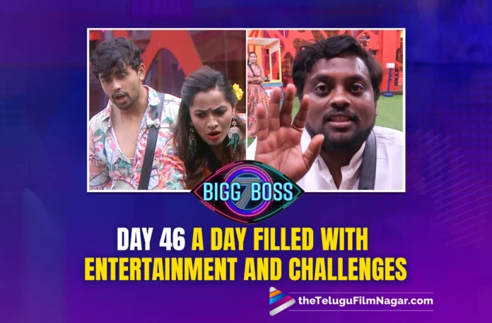 Bigg Boss 7 Telugu : Day 46 - A Day Filled with Entertainment and Challenges