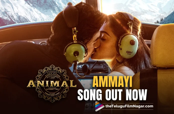 Ammayi: The Enchanting Melody from Animal Movie