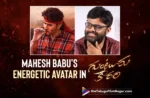 Mahesh Babu's Energetic Avatar in Guntur Kaaram : Naga Vamsi