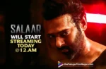 Prabhas' Salaar Streaming on Netflix