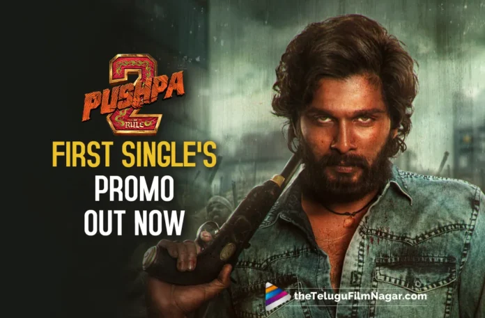 Pushpa Pushpa song promo-Pushpa 2- Allu Arjun-Devi Sri Prasad