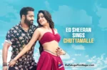 Jr NTR reacts to Ed Sheeran's rendition of Chuttamalle from Devara,Telugu Filmnagar,Latest Telugu Movies News,Latest Tollywood Updates,Telugu Film News 2025,Tollywood Movie Updates,Latest Tollywood Movie Updates,Telugu Cinema News 2025,Jr NTR reacts to Ed Sheeran singing,Jr NTR reacts to Ed Sheeran singing Chuttamalle From Devara,Ed Sheeran sings Chuttamalle song,Jr NTR reaction to Ed Sheeran,Chuttamalle performance by Ed Sheeran,Devara song cover by Ed Sheeran,Ed Sheeran performs Indian song,Jr NTR on Ed Sheeran's rendition,Ed Sheeran reacts to Telugu music,Ed Sheeran's India concert 2025,Ed Sheeran,Jr NTR,Jr NTR Instagram Story