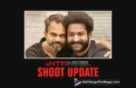 NTR-Neel movie: Jr NTR to step into the shoot on THIS date,Telugu Filmnagar,Telugu Cinema News 2025,Telugu Film News 2025,Tollywood Movie Updates,Latest Telugu Movies News,Latest Tollywood Movie Updates,Latest Tollywood Updates,NTR-Neel movie update,Jr NTR NTR-Neel film,NTR-Neel action drama,Jr NTR high-octane action movie,NTR Neel update,Jr NTR To Begin Shooting For Prashanth Neel Film,Jr NTR to Join The Shoot Of NTRNeel,NTR-Neel,NTR-Neel Movie,NTR-Neel Telugu Movie,NTR-Neel Shoot Update,NTR-Neel Shooting Update,NTR-Neel,Jr NTR