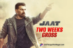 Sunny Deol's JAAT mints Rs 110.86 Crore in two weeks