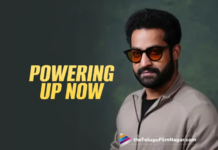 Jr NTR The Tarak Star Soars to New Heights