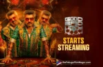Good Bad Ugly streams on OTT; Details inside