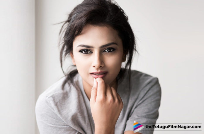Jersey is an Emotional Roller Coaster Ride - Shraddha Srinath,Jersey Brought Out Another Facet As An Actor In Me - States Shraddha Srinath,Telugu Filmnagar,Telugu Film Updates,Tollywood Cinema News,2019 Latest Telugu Movie News,Jersey Movie Latest Updates,Nani Jersey Movie Latest News,Actress Shraddha Srinath About Jersey Movie,Heroine Shraddha Srinath About Her Journey in Jersey Movie