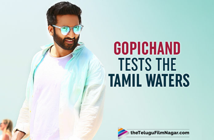 Gopichand Tests The Tamil Waters,latest telugu movies news,Telugu Film News 2019, Telugu Filmnagar, Tollywood Cinema Updates,water Testing with Gopichand next film Chanakya,Gopichand New Movie Updates,Actor Gopichand Latest News 2019